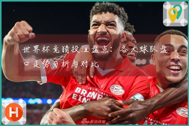 世界杯竞猜投注盘点：各大球队盘口走势分析与对比
