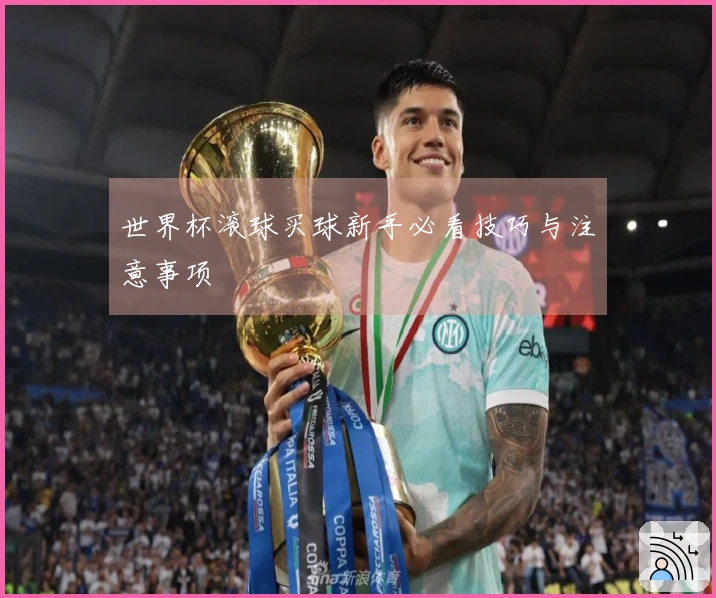 世界杯滚球买球新手必看技巧与注意事项