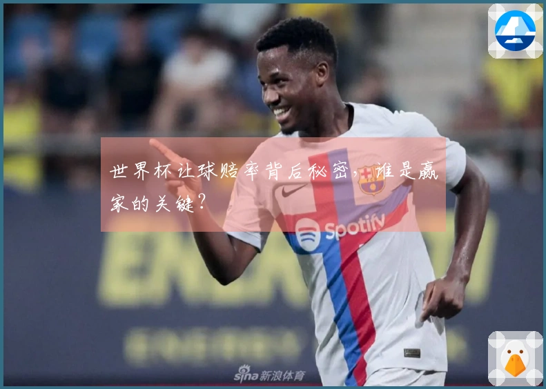 世界杯让球赔率背后秘密，谁是赢家的关键？