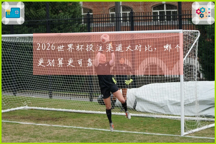 2026世界杯投注渠道大对比，哪个更划算更可靠