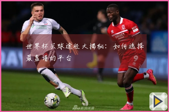 世界杯买球途径大揭秘：如何选择最靠谱的平台