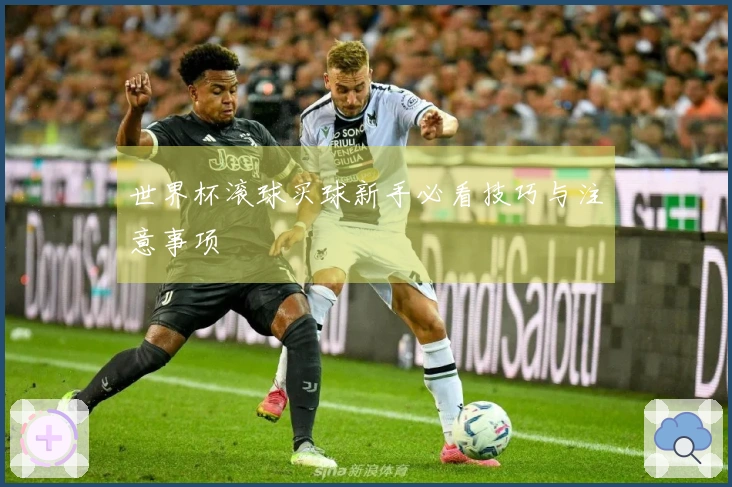 世界杯滚球买球新手必看技巧与注意事项