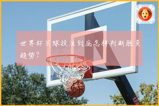 世界杯买球投注到底怎样判断胜负趋势？