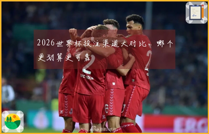 2026世界杯投注渠道大对比，哪个更划算更可靠