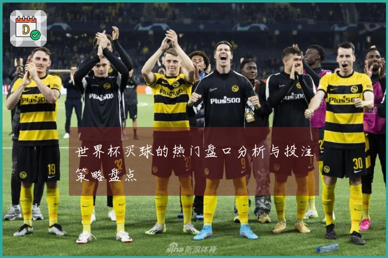 世界杯买球的热门盘口分析与投注策略盘点