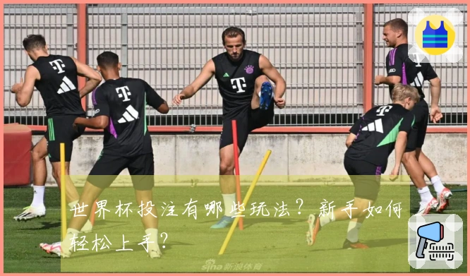 世界杯投注有哪些玩法？新手如何轻松上手？