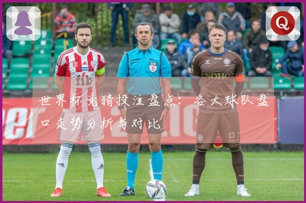 世界杯竞猜投注盘点：各大球队盘口走势分析与对比