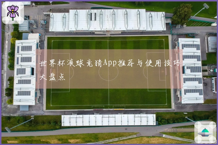 世界杯滚球竞猜App推荐与使用技巧大盘点