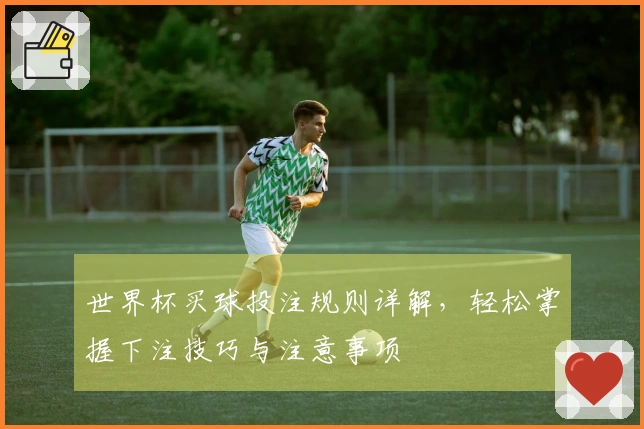 世界杯买球投注规则详解，轻松掌握下注技巧与注意事项