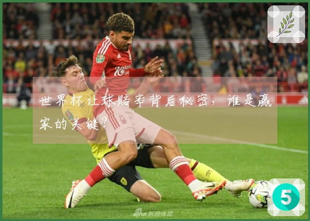 世界杯让球赔率背后秘密，谁是赢家的关键？