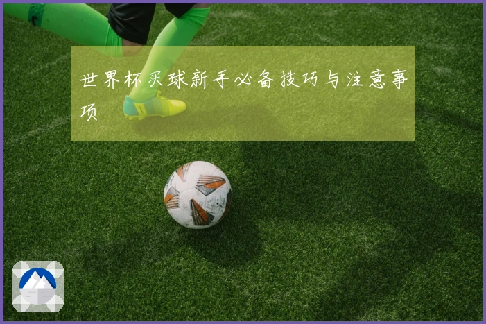世界杯买球新手必备技巧与注意事项