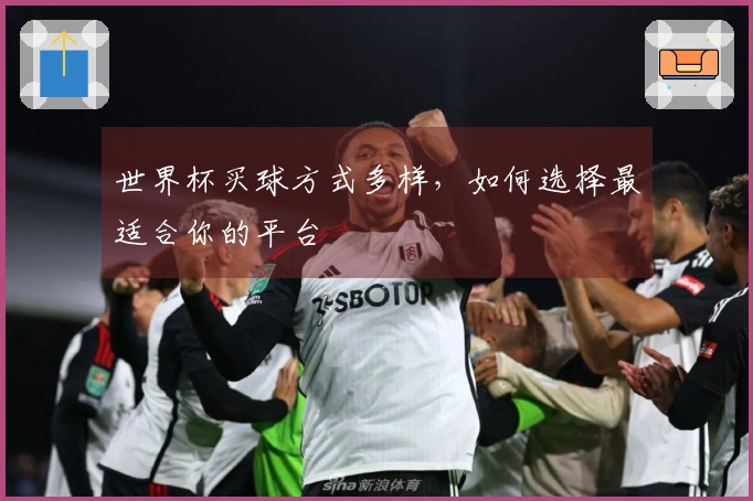 世界杯买球方式多样，如何选择最适合你的平台