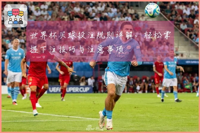 世界杯买球投注规则详解，轻松掌握下注技巧与注意事项