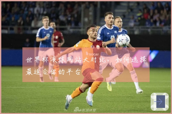 世界杯滚球网站大对比，如何选择最适合你的平台